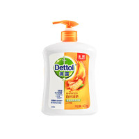 滴露Dettol 健康抑菌洗手液 抑菌99.9% 易冲洗 男士女士通用 呵护全家 自然清新500g/瓶