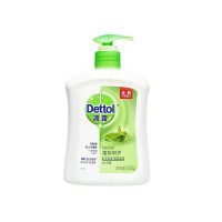 滴露Dettol 健康抑菌洗手液 抑菌99.9% 易冲洗 男士女士通用 呵护全家 植物呵护500g/瓶