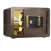 臻远ZY-NW-BXGS-08 全钢实心保险柜办公防盗保险箱 高25cm咖色指纹款