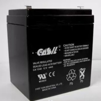 CASIL志源蓄电池阿兰德消防防火卷帘门报警控制器用电动应急电源 CA1222(长条款/12V2.2AH