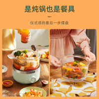 东菱(Donlim)养生锅DL-9002 深野绿