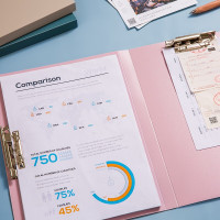 齐心 A5718 颜选莫兰迪双强力夹 A4/A3 莫绿