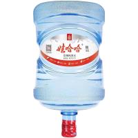 娃哈哈 桶装纯净水16.8升 单位:1桶 仅限广西南宁市区配送