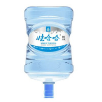 娃哈哈 矿泉水16.8升 单位:1桶 仅限广西南宁市区配送