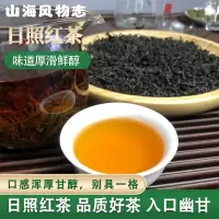 日照红茶功夫茶果蜜香正宗浓香型耐泡品鉴装海岸茶精品核心产区30g简装