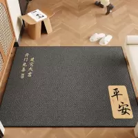 入户门门垫进门门口耐用垫子2025新款室内防滑脚垫玄关地毯