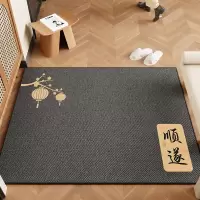 2025新款入户门脚垫进户门垫子家用进门口耐脏防滑地垫室内地毯