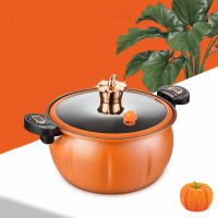 巴尔德 橙优选微压汤锅 BD-035 28cm
