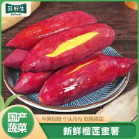 [苏鲜生]正宗真榴莲蜜薯 净重3斤 小果 黄心番薯玛莎莉黄金红薯当季现挖地瓜蔬菜