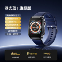 didoR55智能手表实时监测血氧心率睡眠评估心电血压手表 旗舰版 蓝色