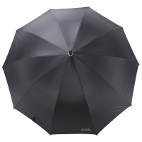 天堂伞 直杆伞 自开长柄伞晴雨伞加大2-3人经典商务伞晴雨伞 193E
