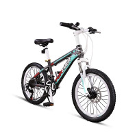 永久(FOREVER) 20寸青少年儿童自行车 24级变速山地车双碟刹减震单车 20寸变速钢架 奔驰灰