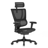 Ergonor保友 优b2代 人体工学椅电脑椅办公椅护腰电竞椅 黑色网