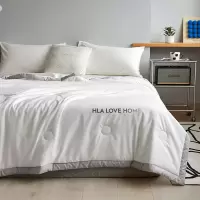 海澜之家夏凉被A类空调被可水洗薄款180*220cm承德灰