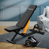 舒华哑铃凳 多功能仰卧板 腹肌神器 仰卧起坐板 高端哑铃凳SH-G599