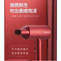 西屋电吹风 H205