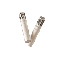 极米(XGIMI)智能无线麦克风Pro(双支版) 一键联动开机 语音点歌切歌 专属定制咪芯 6种音效