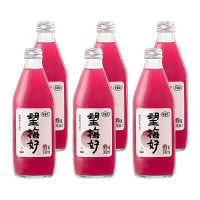 好望水 望梅好 杨梅汽泡水无香精酸梅汤果汁饮料 300ml*6瓶整箱