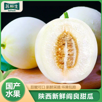 [苏鲜生]陕西阎良甜瓜 净重2.5斤 箱装 蜜瓜香瓜 当季甜瓜新鲜水果 苏鲜生