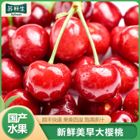 JD快递[苏鲜生]大连美早大樱桃 净重2.8斤装 JJ级 应季车厘子 新鲜水果 应季水果1