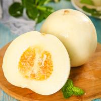 [熊猫鸟] 云南郁金香甜瓜 净重2.5斤装 中果 单果200-250g 箱装 蜜瓜香瓜 当季甜瓜新鲜