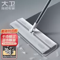 大卫一次性平板拖把33cm杆长118cm3包干巾3包湿巾Z11静电除尘即用即拋