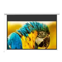 极米(XGIMI )100英寸16:9遥控电动光子幕布2.0(更大可视角度 卷边自动恢复 画面更亮更好看)