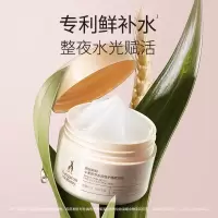 袋鼠妈妈准孕妇护肤品专用 小麦睡眠面膜 舒缓神经酰胺免洗面膜化妆品 小麦睡眠面膜80g