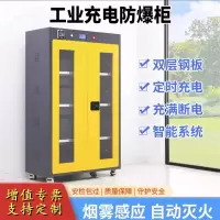 易企采 定制两门带透视窗三代锂电池储存防火防爆柜铅蓄电池排风安全柜 冷轧钢板 板厚0.8MM