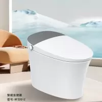 金牌卫浴GOLD R01Z无水压泡沫盾脚感智能马桶 KA(含安装)RF3201Z(300坑距)