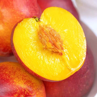 [熊猫鸟]云南红皮黄心油桃 净重5斤 大果 单果50g+ 新鲜水果桃子 新鲜水果