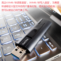闪迪(SanDisk)256gU盘[个]