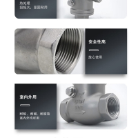 铸钢止回阀 H41SM-25C DN32