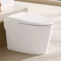 金牌卫浴GOLD R30Q脚感冲水 轻智能马桶 KA (含安装)RF3300Q