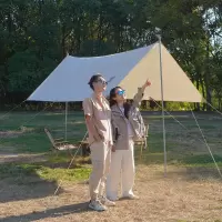 大迈星际漫步天幕-麦浪棕DM-1011M