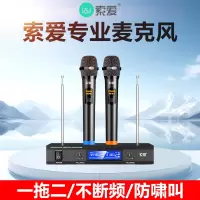 索爱(soaiy) WK2 无线麦克风双话筒专业手持KTV唱歌演出舞台K歌会议通用家庭麦克风 一拖二