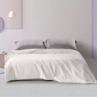 水星家纺100%蚕丝·蝶舞纷飞可水洗夏被200*230cm 型号 181587