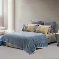 水星家纺薇蓝物语可水洗云朵柔绒毯150cm×200cm 型号 182460