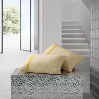 水星家纺 负离子净醛抗菌舒睡枕(一只) 型号 181046