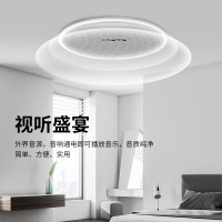 海湾吸顶扬声器&HY6251(嵌入吸顶)(个)