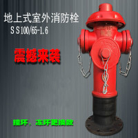 海湾室外消防栓中接&DN100(个)