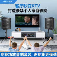 夏新(AMOI)卡包音箱 SA-09家庭影院KTV音响含功放音响支架音响线10米不含麦克风