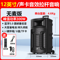索爱(soaiy)SA-T21 广场舞大功率低音炮便携户外k歌电木吉他乐器音箱蓝牙拉杆音响 无麦