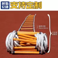 人安 逃生软梯消防逃生软梯高楼高空应急消防救援训练家庭折叠绳梯 涤纶树脂消防软梯20米+双钩+螺丝