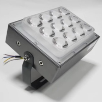 一束光聚光射灯led户外防水园林投光灯 一束光大功率36瓦暖白光/个