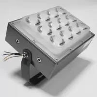 一束光聚光射灯led户外防水园林投光灯 一束光大功率36瓦暖白光/个