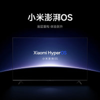 小米 L55MA-A A55 平板电视机 55英寸 2+32GB金属全面屏 4K超高清液晶(不含安装) 单位:1台