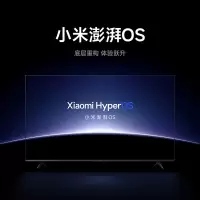 小米 L55MA-A A55 平板电视机 55英寸 2+32GB金属全面屏 4K超高清液晶(不含安装) 单位:1台