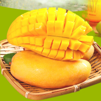 屈乡精品水果新鲜上市金煌芒果