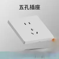 五孔插座明装 单位/个